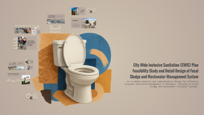 City Wide Inclusive Sanitation (CWIS) Plan Feasibility Study and Detail ...