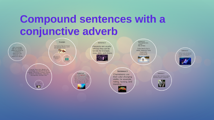 Compound Sentence With A Conjunctive Adverb By Emma Martin