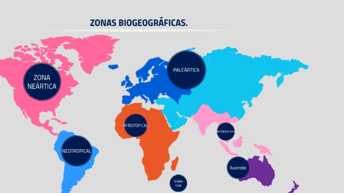 zonas biogeograficas by paula ramirez on Prezi