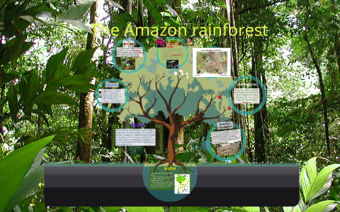 The amazon rainforest by Daysia Young on Prezi