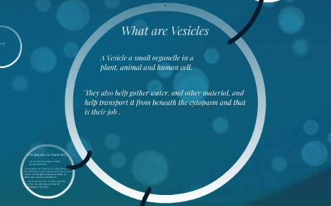 Vesicles by A I