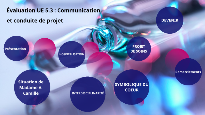 Projet exemple soin infirmier soins ue infirmiers exemples corrigé