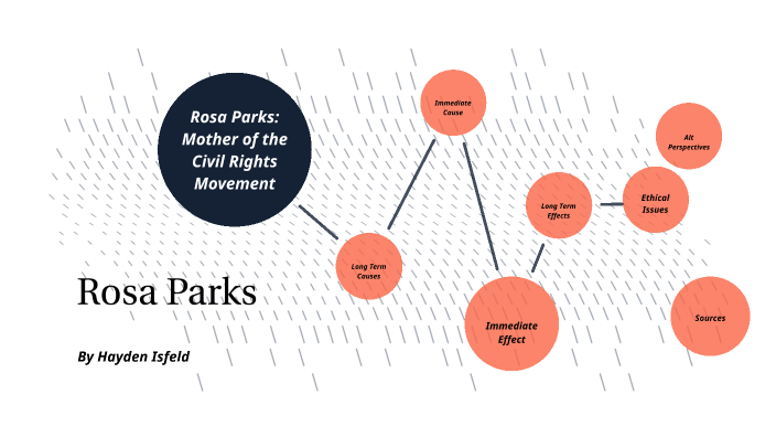 rosa parks cause or area of work