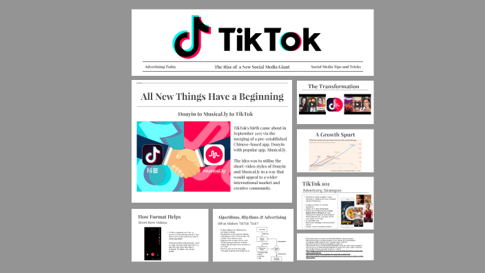 thesis statement about tiktok brainly