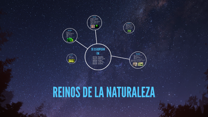 REINOS DE LA NATURALEZA by paula andrea diez mejia on Prezi
