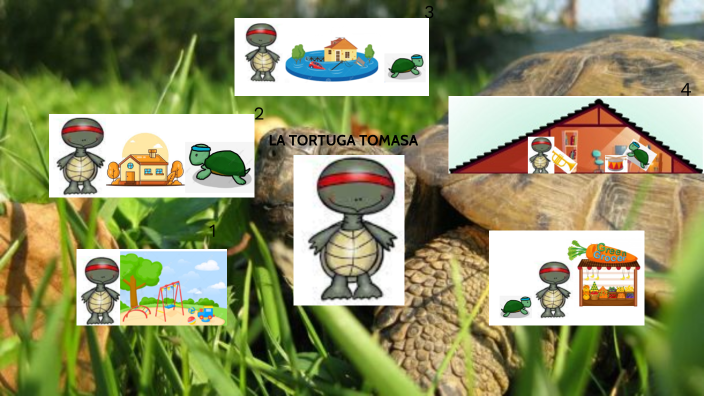 la tortuga tomasa by SANTIAGO RAYM RAMOS ZAPATA on Prezi Next