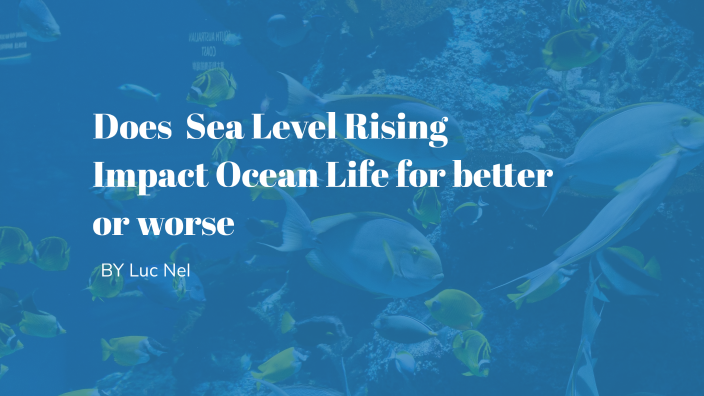 Effects of Rising Sea Levels on Ocean Life by Luc nel on Prezi