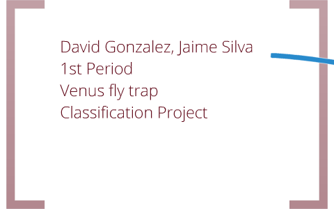 classification project venus fly trap by david gonzalez on venus fly trap classification chart