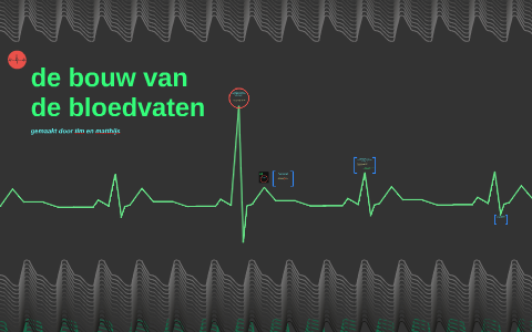 de bouw van de bloedvaten by matthijs in het veld