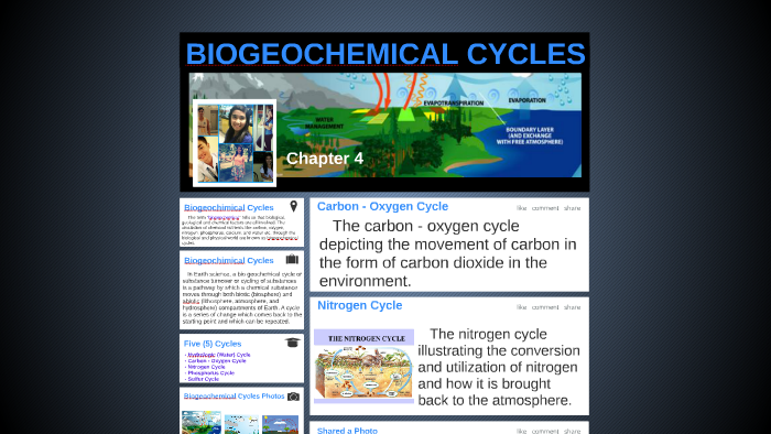 BIOGEOCHEMICAL CYCLES by Kristine Lacson on Prezi