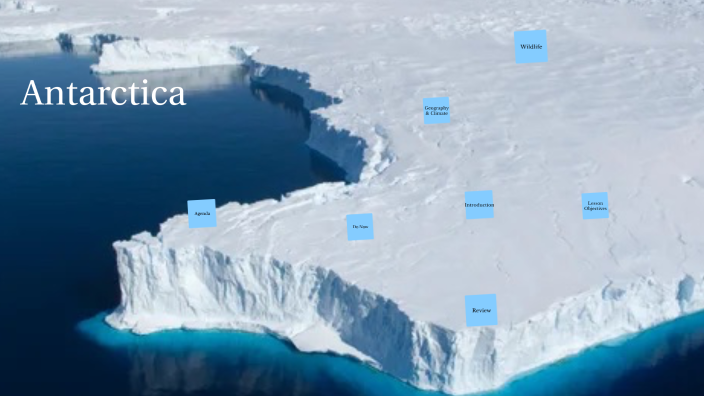 Antarctica by Adrienne Moss on Prezi