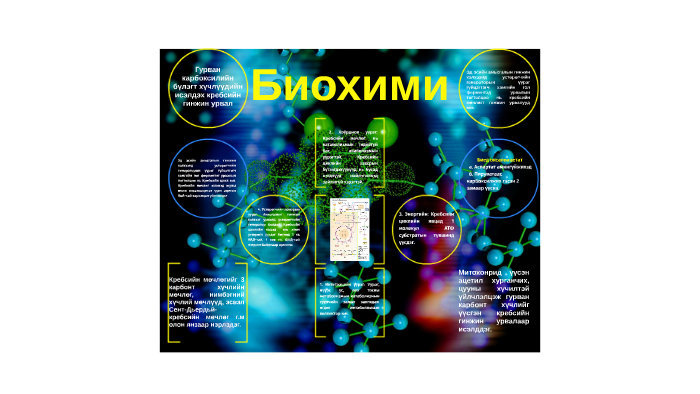 Биохими by Эстер Эстер on Prezi