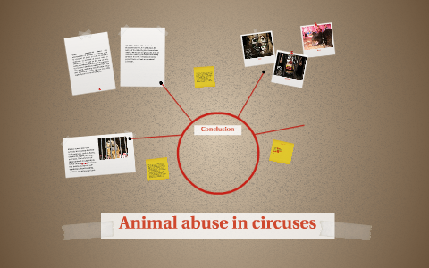 animal abuse in circuses essay