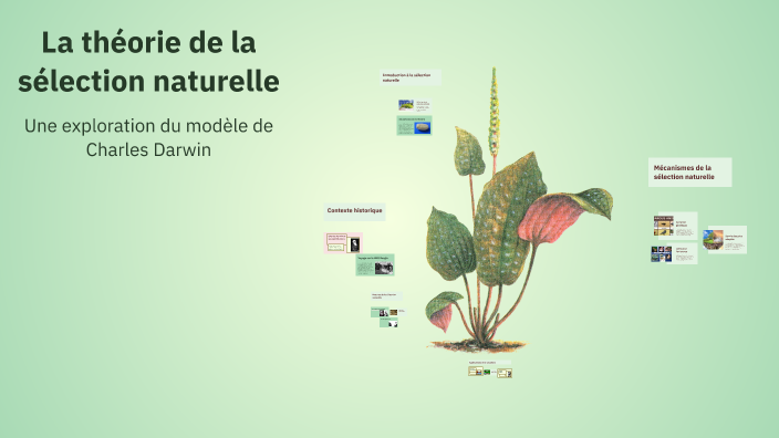 La théorie de la sélection naturelle by Salsabil Hachouch on Prezi