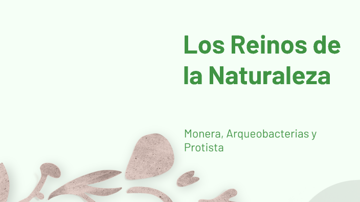 Los Reinos de la Naturaleza by ʙᴇɴᴊ4ᴍɪɴ portillo on Prezi