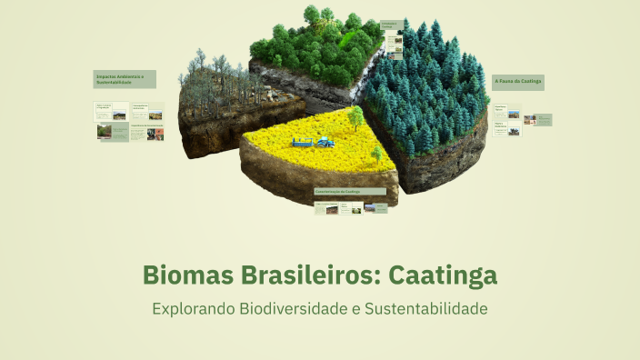 Biomas Brasileiros: Caatinga by Maria Silva on Prezi