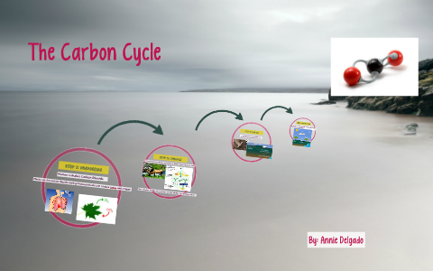 The Carbon Cycle by Itzel Delgado on Prezi