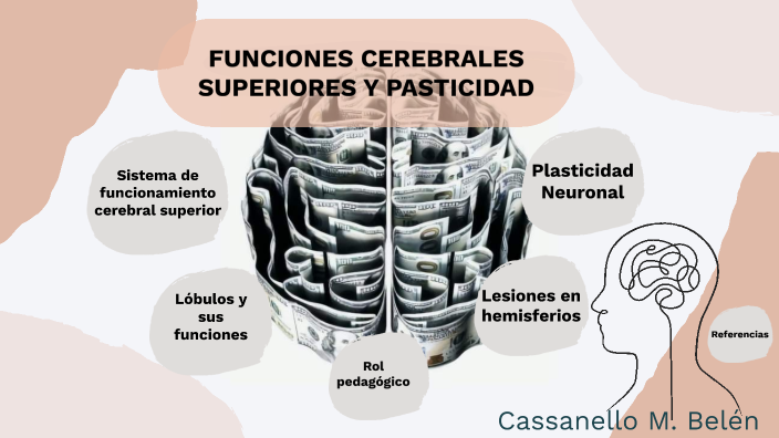 Funciones cerebrales superiores y plasticidad by maria belen cassanello ...