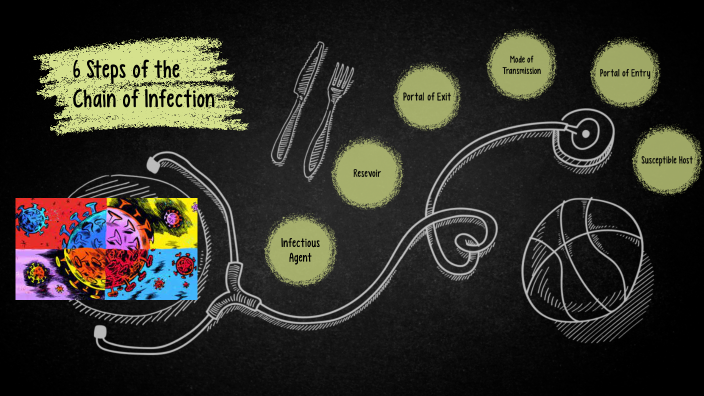 6 steps chain of infection