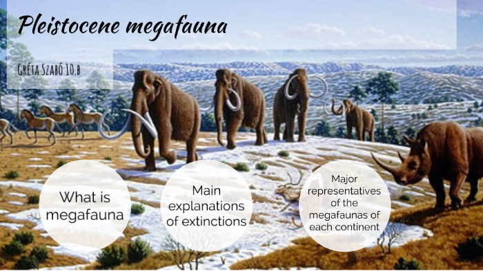 Pleistocene Megafauna by Gréta Szabó