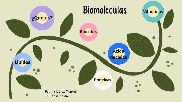 BIOMOLECULAS by Fatima Juarez Montes