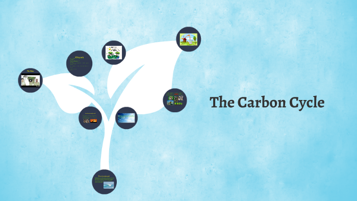 The Carbon Cycle by rosey belam on Prezi