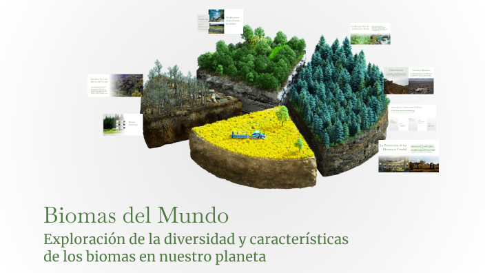 Biomas del Mundo by Sebastian Lagua on Prezi