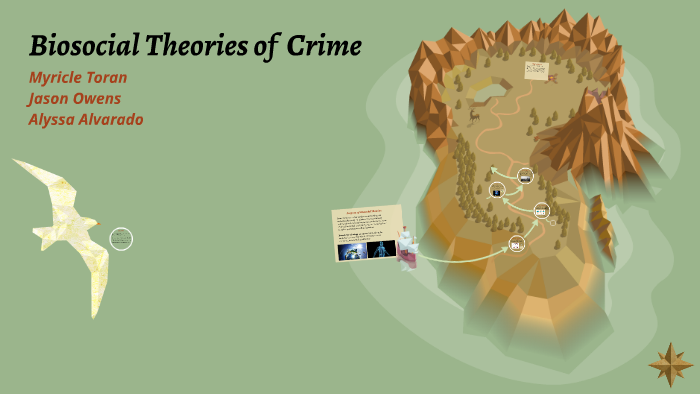 Biosocial Theories Of Crime By Alyssa Alvarado On Prezi