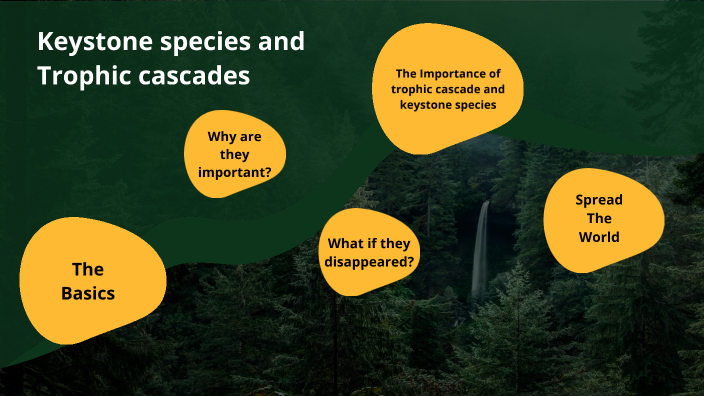 Keystone Species And Trophic Cascade By Mikey Rushing On Prezi