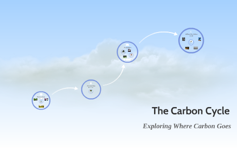 The Carbon Cycle by Titus Todd on Prezi