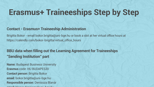 Erasmus+ Traineeships Step By Step By On Prezi Design