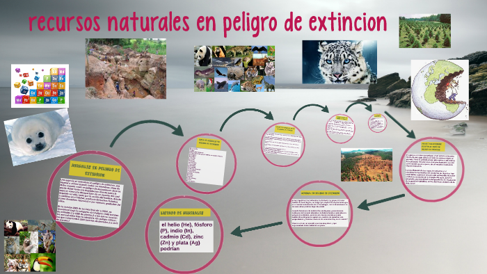 10 Ejemplos De Recursos Naturales En Peligro De Extinción