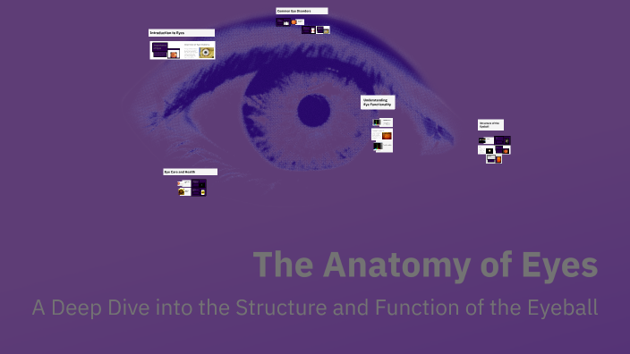 The Anatomy of Eyes by Minke on Prezi