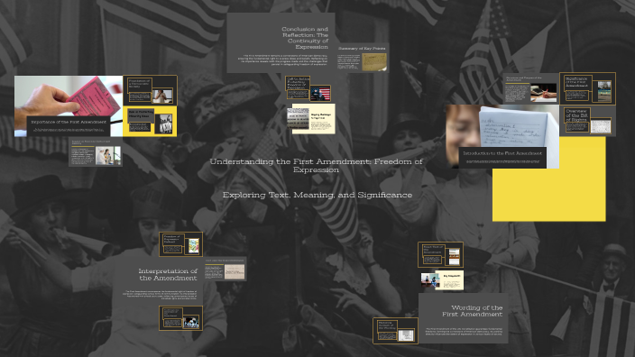 Understanding the First Amendment: Freedom of Expression by angel ...