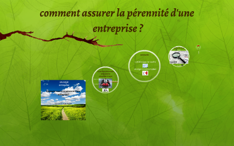 Comment Assurer La Pérennisation D'une Entreprise ? By Luc MULLER On Prezi