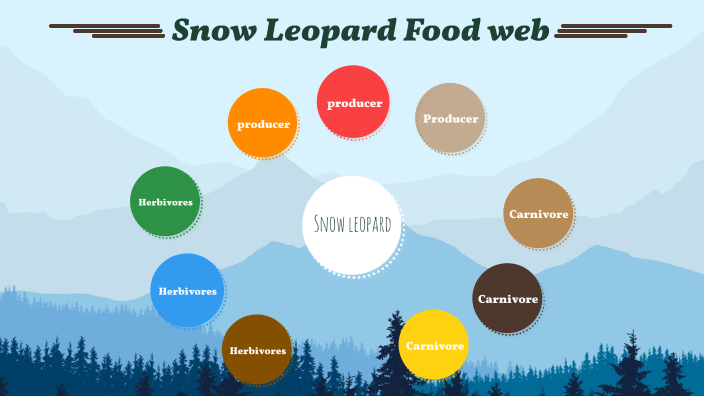 Snow leopard: Food web by Samarah Stalter-Battle on Prezi