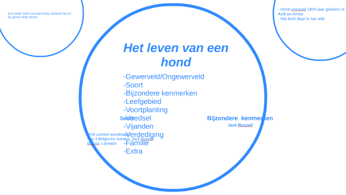 Het leven van een hond by Zita Verbist on Prezi