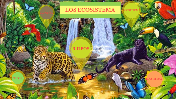 ECOCISTEMA by ANA LUCIA ORTIZ PAZMIÑO on Prezi