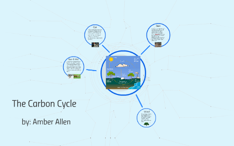 The Carbon Cycle by Amber Allen on Prezi
