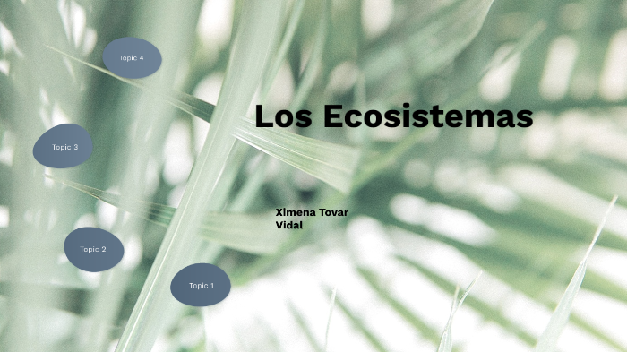 Los ecosistemas by Ximena Tovar Vidal on Prezi