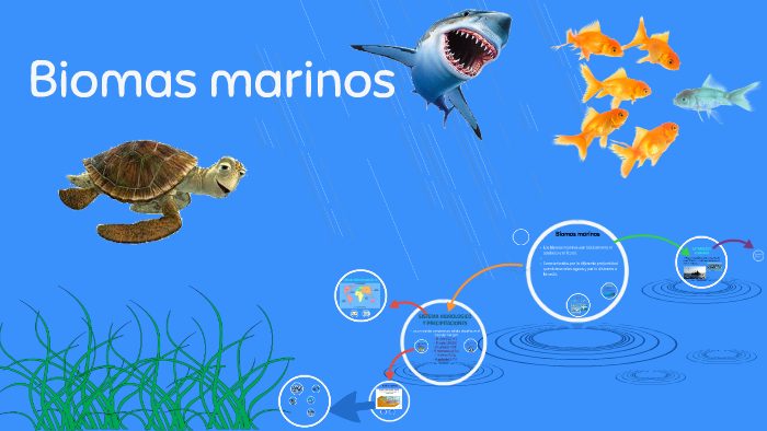 Biomas marinos by Liz Glz on Prezi