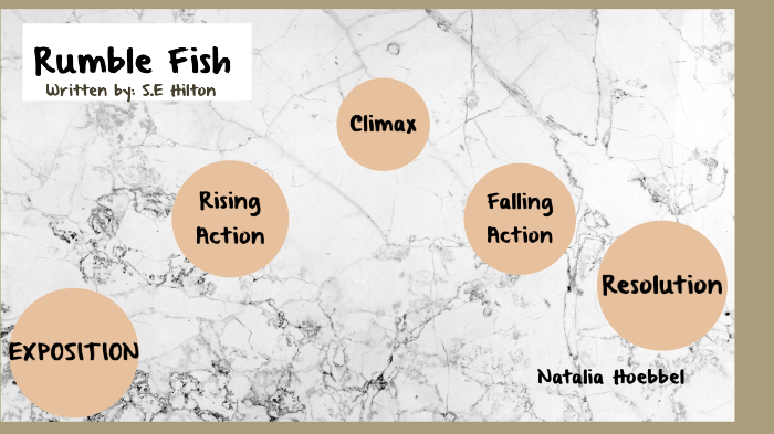 Rumble Fish by Natalia G. Hoebbel on Prezi