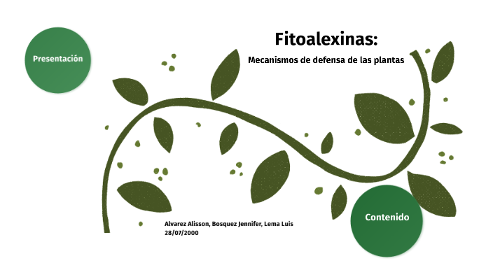 FITOALEXINAS: MECANISMO DE DEFENSA DE LAS PLANTAS by LISBETH ALVAREZ TUALA