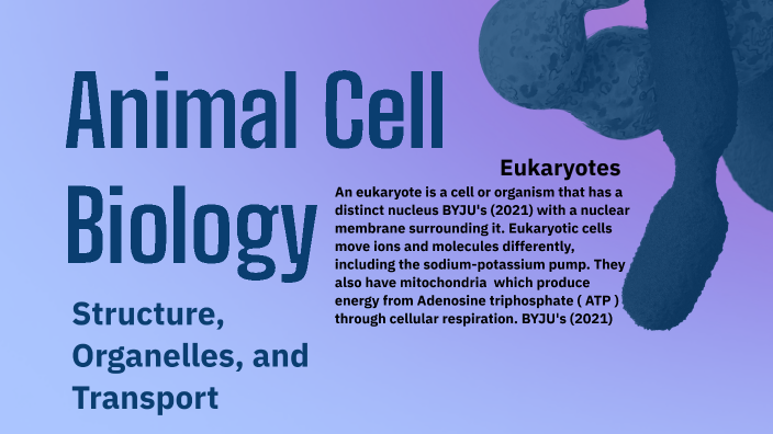 Animal Cell Biology by louise roberts on Prezi