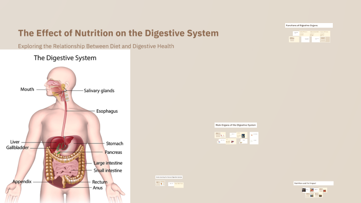 The Effect of Nutrition on the Digestive System by hass karbs on Prezi