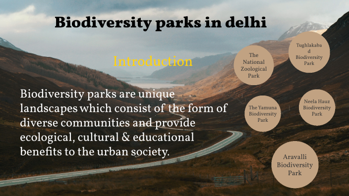 essay on biodiversity of delhi