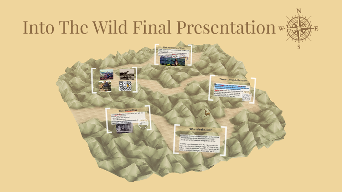 into the wild final essay prompt