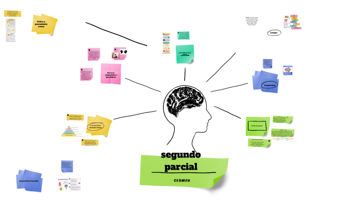 2do parcial by Carolina Esp on Prezi