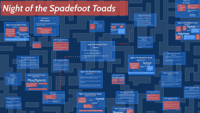 night of the spadefoot toads