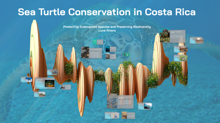 Sea Turtle Conservation in Costa Rica by Luna Rivera on Prezi